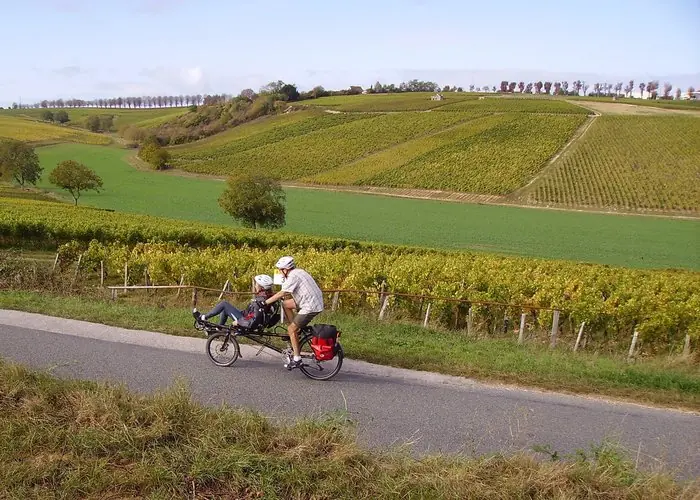 Reims Vélo Tour — Balade dans le vignoble